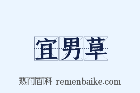 宜男草是什么意思的图片